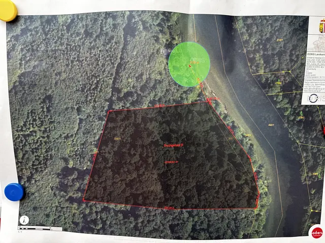 Am 4. Oktober dieses Jahres trafen sich die Österreichische Rettungshundebrigade (ÖRHB) und die Feuerwehr Stadl-Paura zu einer gemeinsamen Übung: Personensuche mit Einsatz von Booten im Au-Gebiet. | Foto: MeinBezirk