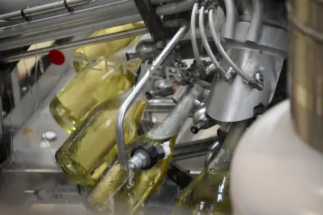 Foto: Stefan Schneider