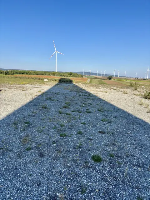 Wieder auf sicherem Grund. | Foto: MeinBezirk/Birgit Bachhofner