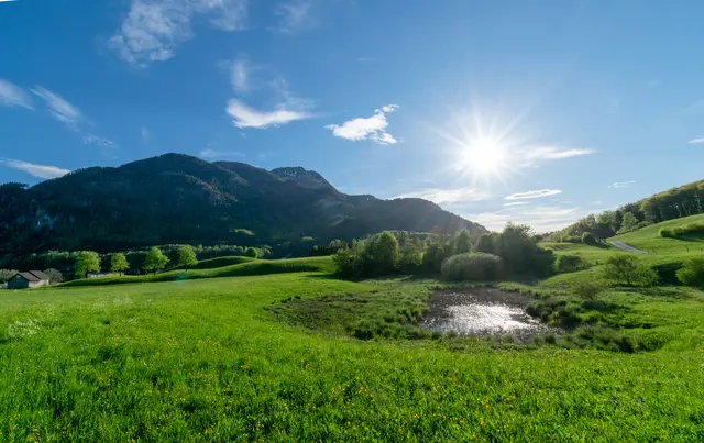 In der Gemeinderatssitzung vom 2. Oktober wurde über ein Biomasseheizkraftwerk in den Sulzbachfeldern diskutiert – genauer gesagt darüber, ob es hierzu eine Volksbefragung geben soll. | Foto: Alexander Dännhardt