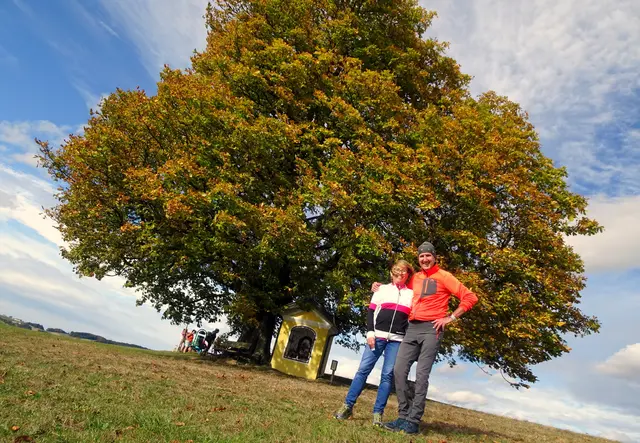 Leserreporter Franz Sturmlechner aus dem Melktal genießt den "goldenen Herbst" mit Gattin Gigi beim Fried-Kreuz in Scheibenbach. | Foto: Franz Sturmlechner