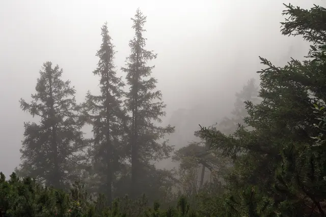 Bild # 2886: plötzlich aufziehender Talnebel taucht die Umgebung in eine mystische Landschaft. | Foto: © by Ing. Günter Kramarcsik