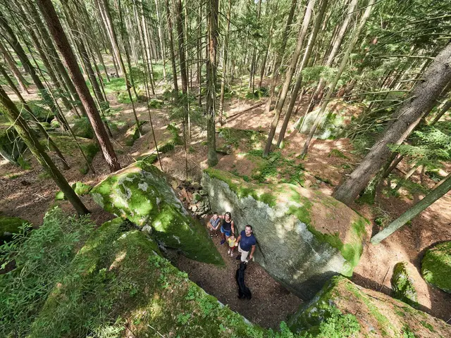 Die „Steinerne Stube“ ist ein wahrer Kraftplatz in Großschönau  | Foto: TDW