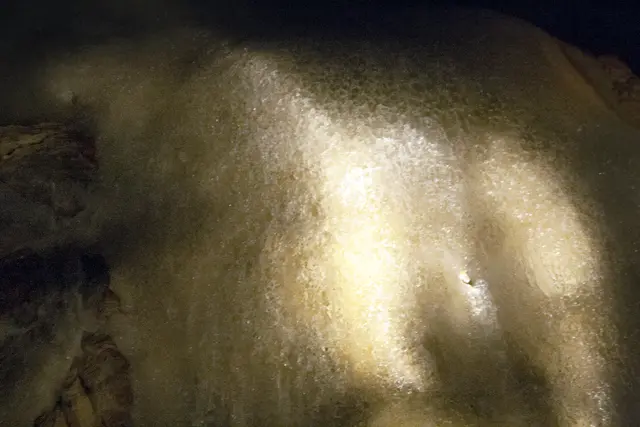 Bild # 2820: Detailaufnahme  | Foto: © by Ing. Günter Kramarcsik