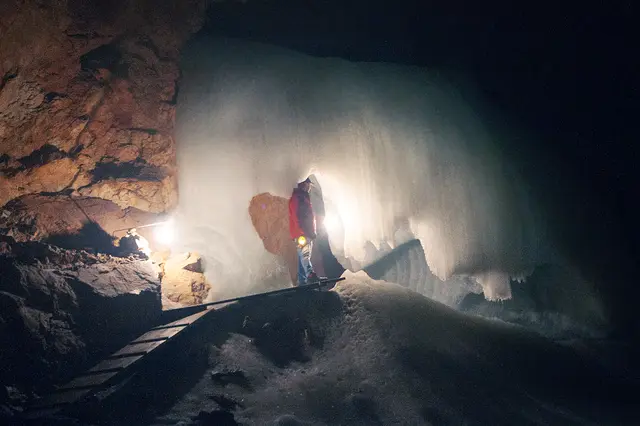Bild # 2830: mein "Eisbär" im kalten Licht der brennenden Magnesium- Streifen.  | Foto: © by Ing. Günter Kramarcsik