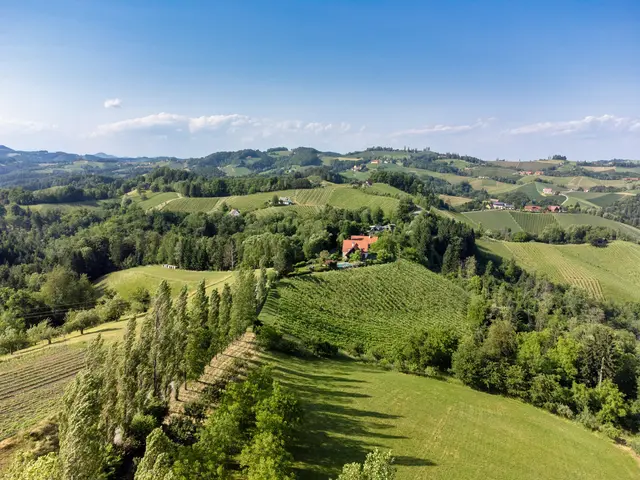 Der Eorykogel inmitten der südsteirischen Weinberger will "schönster Platz Österreichs" werden. | Foto: ORF/Regine Schöttl