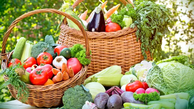 Obst, Gemüse & Co – so geht Mikronährstoffversorgung mit Genuss!