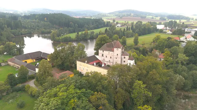 In den Teichen rund um Schloss Engelstein werden im Herbst Karpfen abgefischt  | Foto: ORF
