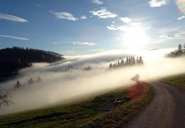 Herbstnebel am Polzberg bei Gaming | Foto: Franz Sturmlechner