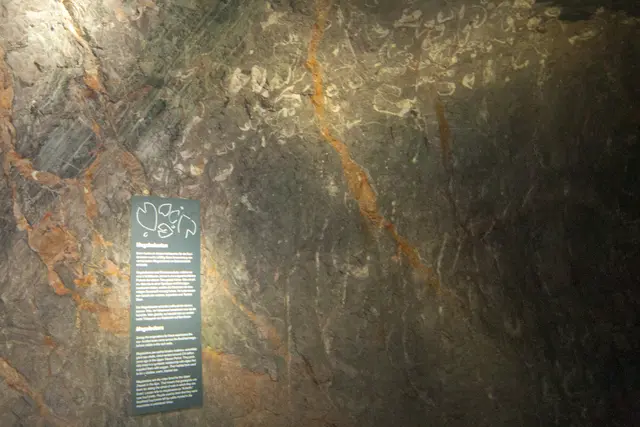 Bild # 2863: am Weg zum WC. Erklärung siehe nächstes Foto. | Foto: © by Ing. Günter Kramarcsik