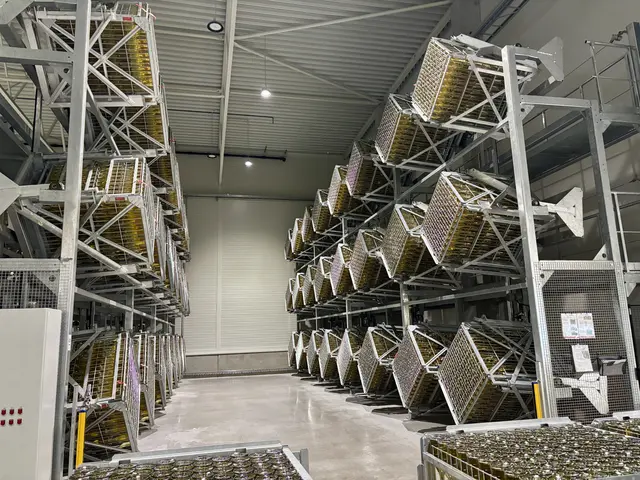 Foto: Stefan Schneider