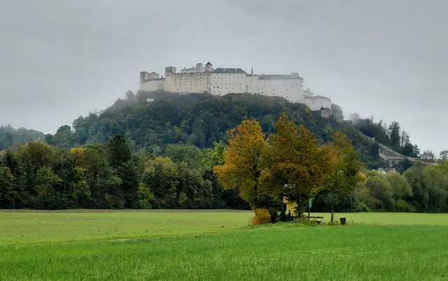 Foto: H.Bachinger