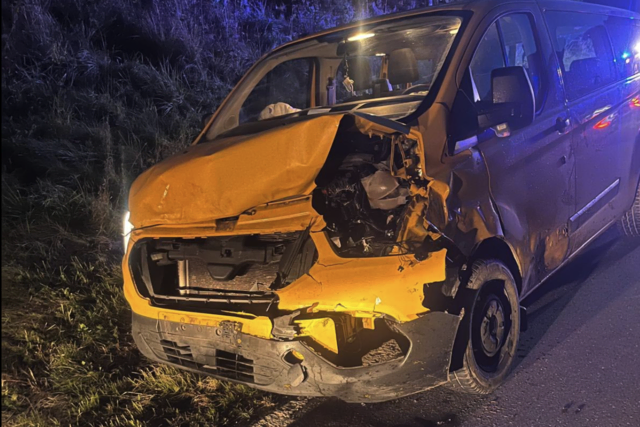 Eine Hirschkuh sei beim Wechseln der Fahrbahn von einem Fahrzeug touchiert worden. | Foto: Feuerwehr Strassburg