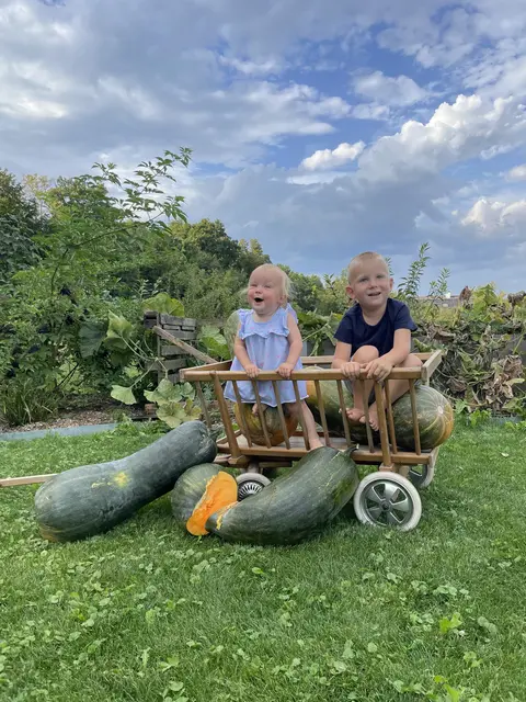 Kleine Erntehelfer mit riesigen Kürbissen in Mühling | Foto: Nicole Prankl