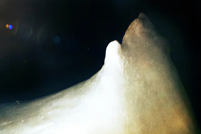 Bild # 2819: "Wasserburg" auf Seehöhe 1.652 m. | Foto: © by Ing. Günter Kramarcsik