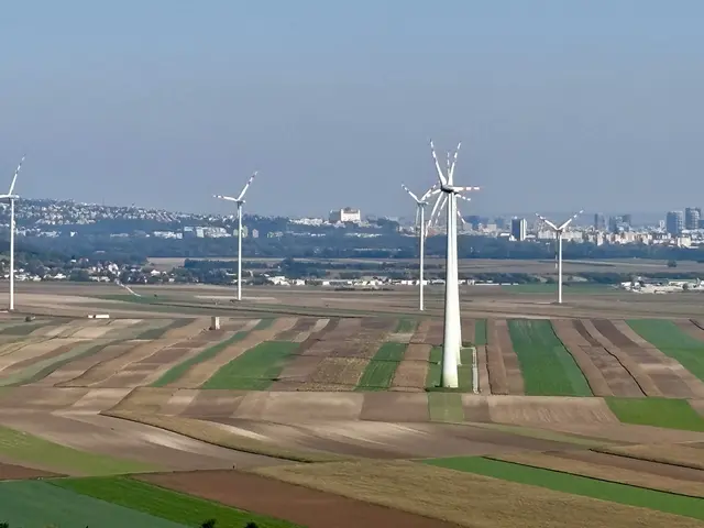 Über das flache Gelände geht der Blick ungehindert bis zur Bratislaver Burg. | Foto: MeinBezirk/Birgit Bachhofner