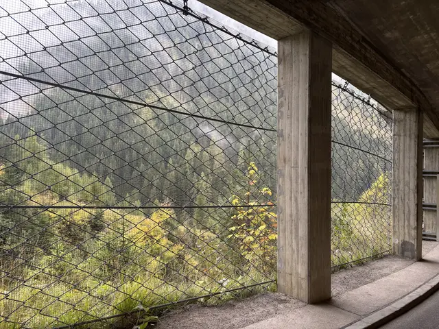 Diese Netze sollen verhindern, dass Schnee durch den bei Lawinenabgängen entstehenden Druck in die Galerie gedrückt wird. | Foto: MeinBezirk/Günther Reichel