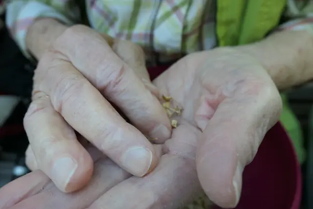 Foto: Iris Unterhofer