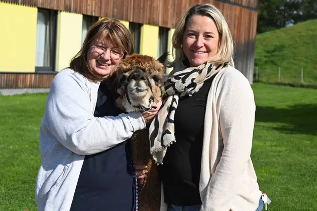 Am Ende des Tages verabschiedeten sich die Alpakas, doch die Erinnerung bleibt. | Foto: Edi Poss