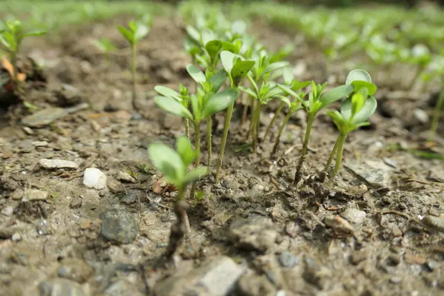 Foto: Iris Unterhofer