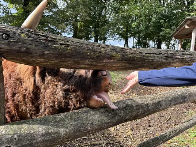 Tierpark Haag | Foto: U. Plank