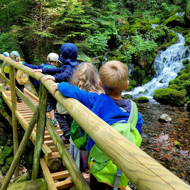 Die Kinder des Waldpädagogischen Kindergartens Mixnitz begeben sich heuer auf eine ganz besondere Reise. | Foto: Waldpädagogischer Kindergarten Mixnitz