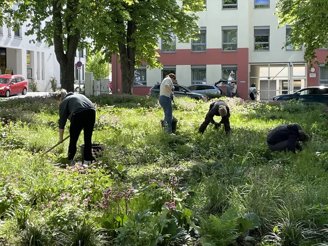 Schüler beim Garteln im Stadtgarten | Foto: Michael Strini
