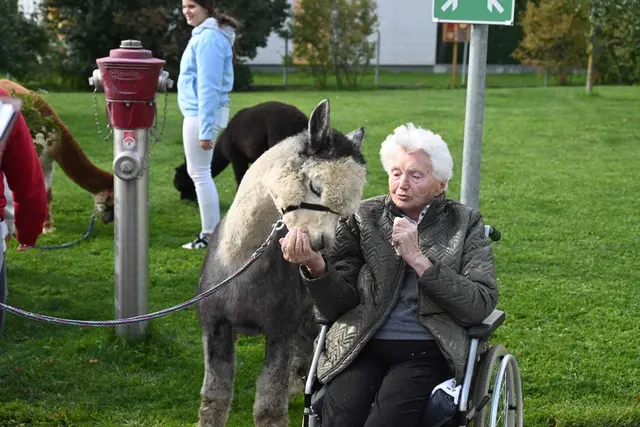 Im Stephansheim Horn sorgten flauschige Besucher für leuchtende Augen. | Foto: Edi Poss