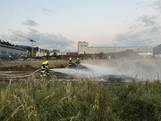 Für die Einsatzübung wurde ein Holzstapel angezündet. Anschließend musste der Brand
von den beiden Löschgruppen bekämpft werden. | Foto: BFVMZ