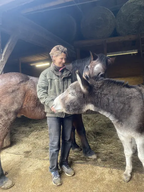 Über 80 Tiere haben am Lebenshof in Brand-Laaben ein liebevolles Zuhause gefunden | Foto: Tierschutzverein Leben Lassen