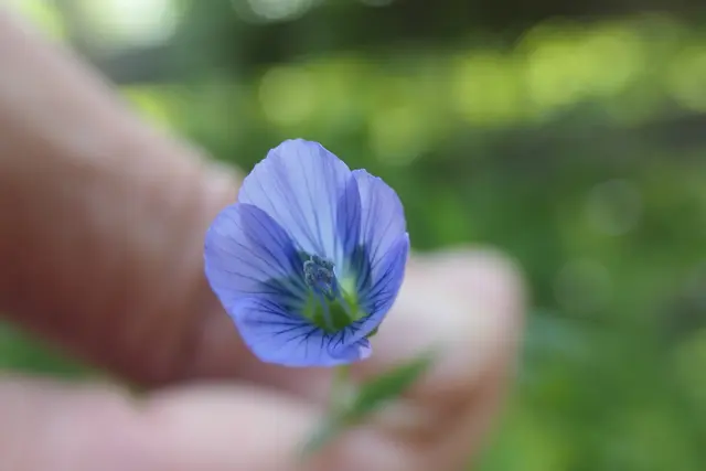 Foto: Iris Unterhofer