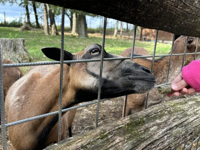 Tierpark Haag | Foto: U. Plank