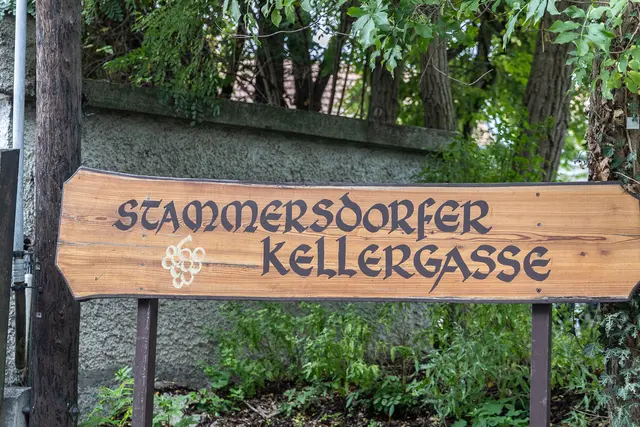 Foto: René Brunhölzl/MeinBezirk