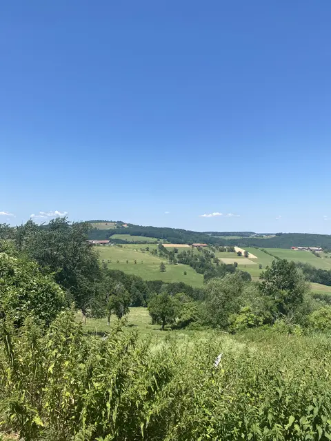 Ausblick über das Laabental vom Lebenshof | Foto: Tierschutzverein Leben Lassen
