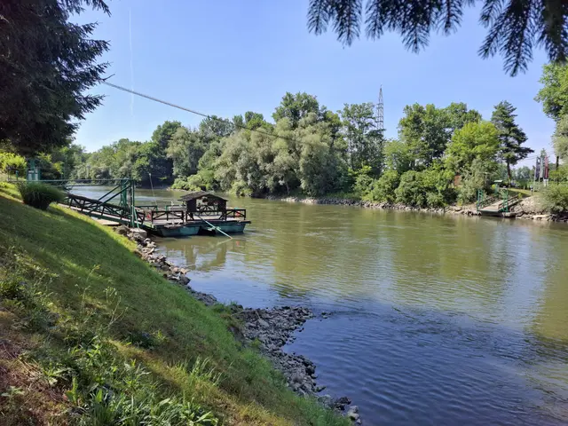 Die Murfähre Weitersfeld verboindet Österreich und Slowenien. | Foto: Biosphärenpark Unteres Murtal