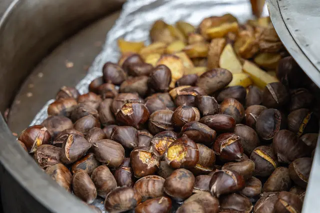 Foto: René Brunhölzl/MeinBezirk