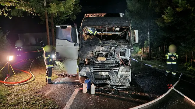 Der 73-jährige Lenker des Fahrzeugs habe den Lkw zum Stillstand bringen und unverletzt aussteigen können.  | Foto: ABI Robert Koppensteiner, FF St. Stefan im Gailtal, FF Kerschdorf-Wertschach
