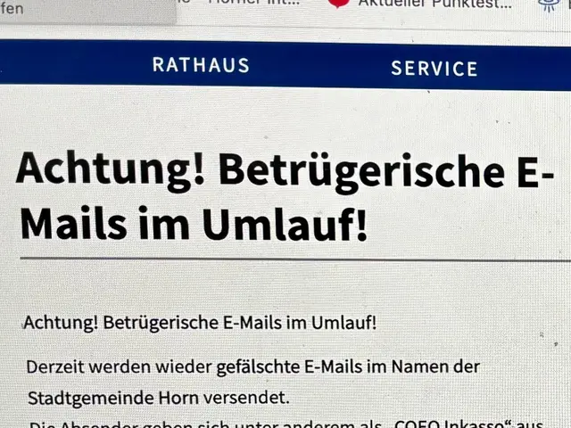 Vorsicht ist geboten – persönliche Daten oder Zahlungen dürfen nicht weitergegeben werden. | Foto: Markus Kahrer