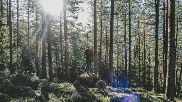 Alten Traditionen und Bräuche der Region entdecken und sich für die Menschen in unserer Gemeinschaft engagieren, das haben sich die Kinder für heuer vorgenommen (Symbolbild). | Foto: Paul Pastourmatzis/unsplash