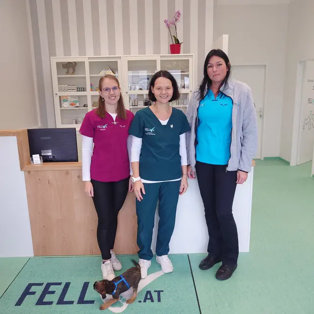 Dr. Claudia Kreil-Ouschan und das Team freuen sich auf den Besuch von bestehenden und auch neuen Hunden und Katzen mit Problemen rund um das Fell.  | Foto: FELLcheck.at