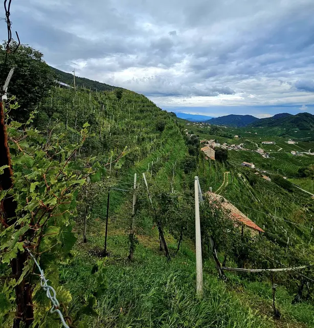 Die wunderschöne Landschaft in Italien | Foto: Maria Skazel