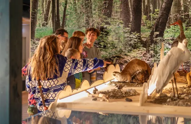 Im NaturErlebnisMuseum nature4future gibt es vieles zum entdecken. | Foto: Michael Koopmanns