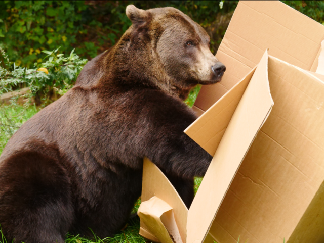 Jetzt hab ich es aber gefunden. Sieht das köstlich aus. Werde ich mir gleich schmecken lassen. | Foto: VIER PFOTEN
