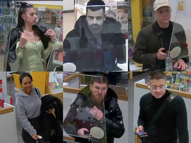 Mehrere Personen sollen über mehrere Monate hinweg Urkunden gefälscht und Daten betrügerisch missbraucht haben. | Foto: LPD Wien