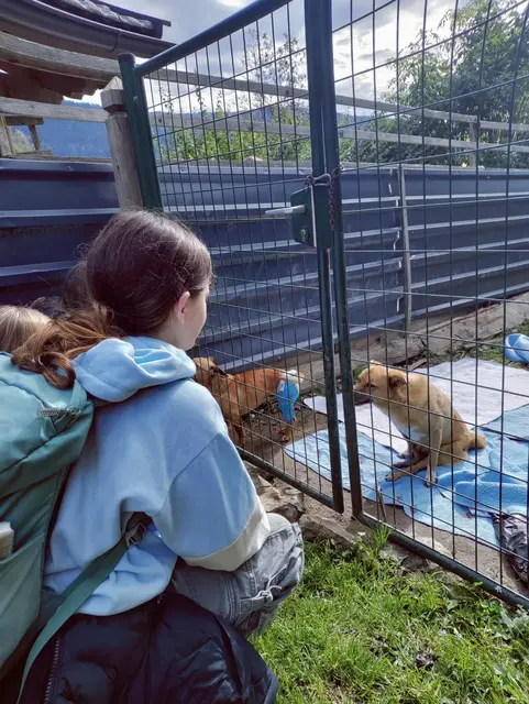 Die Althofner Schüler besuchten den Köglerhof in Micheldorf. | Foto: MS Althofen