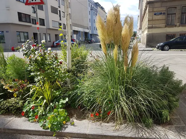 Tipps und Tricks fürs Garteln in Ottakring erhalten Interessierte beim Garteldankfest in Ottakring. (Archivbild) | Foto: BV16