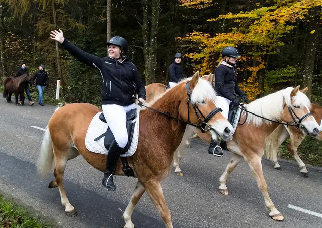 Der Leonhardiritt findet heuer am 9. November statt. | Foto: Alois Huemer