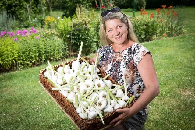 Margit Holzer präsentiert ihren Kärntner Knoblauch auf diversen Wochenmärkten und in ausgewählten Supermärkten. | Foto: Spar/Gleissfoto