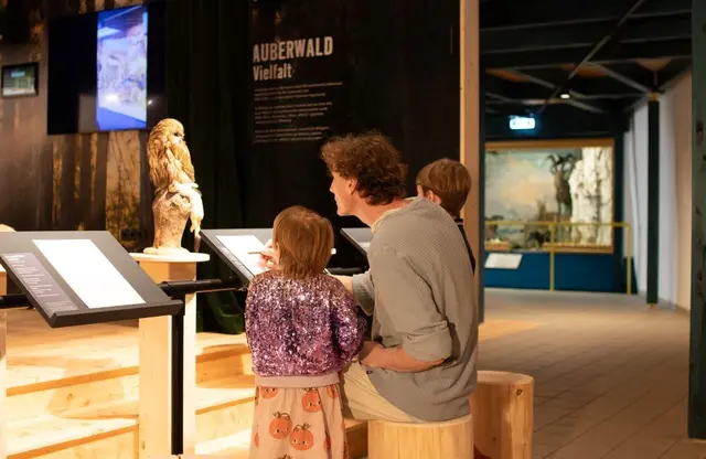 Das "NaturErlebnisMuseum nature4future" gibt es mittlerweile seit einem Jahr. | Foto: Michael Koopmanns