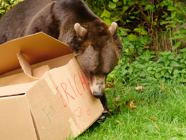 Oh, ein Geschenk für mich - sogar mit Widmung! | Foto: VIER PFOTEN